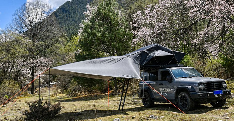 Butterfly awning